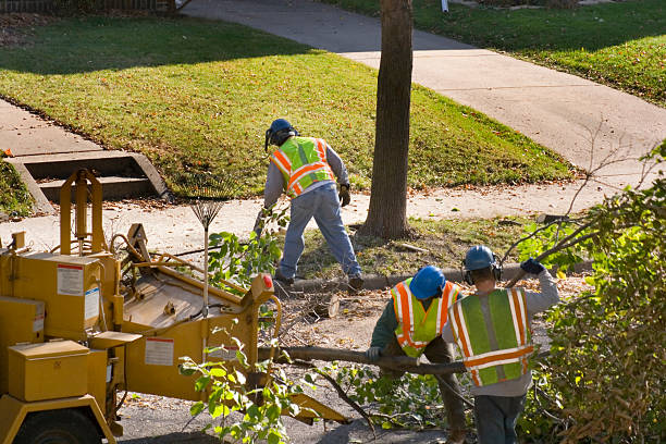 Lawn Watering Services